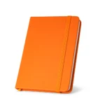 PP93487_arancione